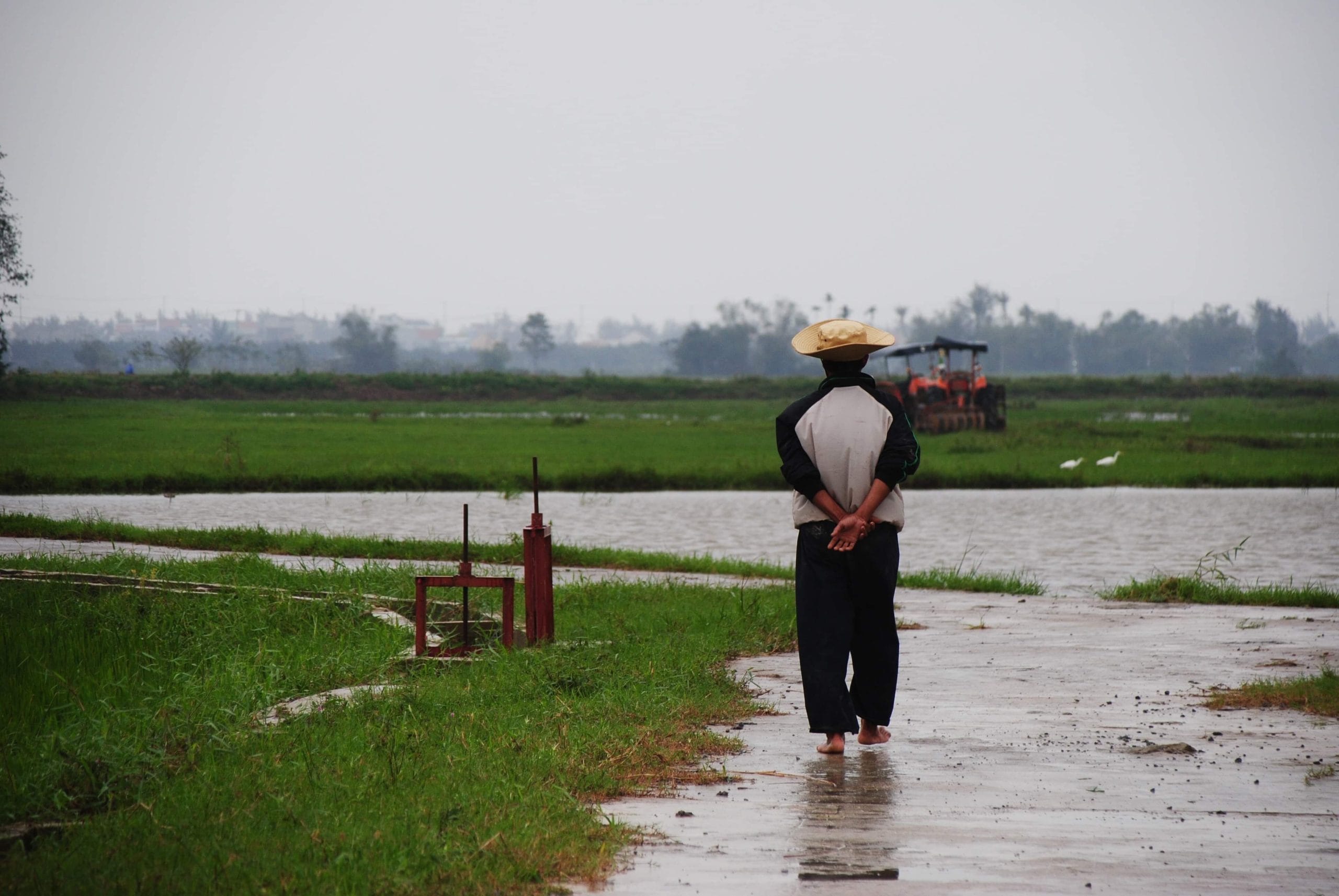 Habitants marchant dans les rizières près de Hoi An au Vietnam lors d’un voyage authentique sur mesure